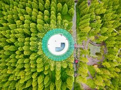 -黄海国家森林公园