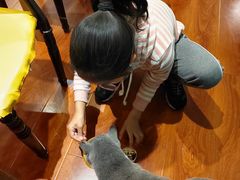 -猫小院猫主题咖啡厅(北锣店)