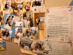 -海豚湾高端月子会所(黄浦店)