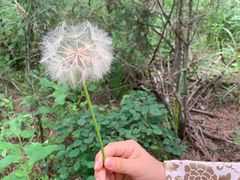 -帽儿山国家森林公园