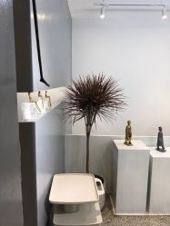 -I+造型烫发染发