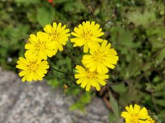 -汉丽轩韩式自助烤肉(大学城龙湖U城天街A馆店)