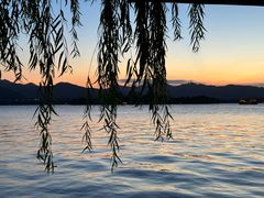 -柳莺湖上·湖景餐厅·江南菜(西湖店)