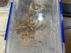 -松鹤楼(狮山永利广场店)