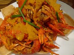 金牌咸蛋黄龙虾-阳光院坝小龙虾(红牌楼店)