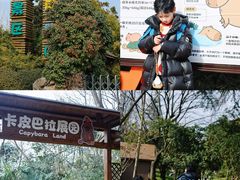 -扬州皇冠假日酒店
