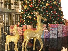 -The Lounge大堂酒廊·咖啡·沙拉·下午茶(金茂深圳JW万豪酒店)