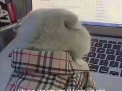 -广州保龄球馆(广州天河体育中心店)