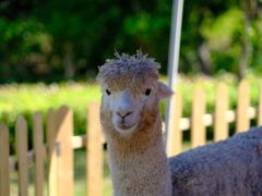 -中国香山·寿香谷