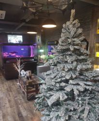 -青木造型HAIR·あおき髪を刈る潮人店