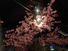 -粥满堂养生餐厅(学苑路店)