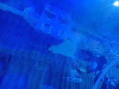 -西安华夏文旅水世界