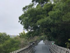 -福道
