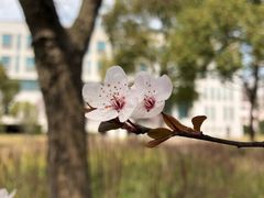 -上海财经大学(国定路校区)
