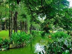 -人民公园(罗湖区)