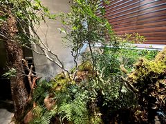 -森SPA·泰式按摩·精油Massage(宝安中心店)