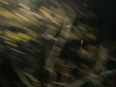 -中国京杭大运河博物馆