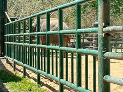 -秦皇岛野生动物园