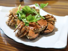 -呼吸森林·生态农庄农家乐私房菜