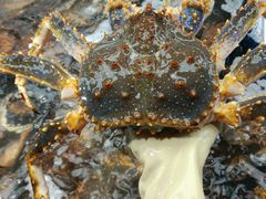 -盒马鲜生(大成店)