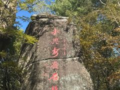 -汤旺河林海奇石景区