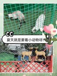 -萌宠亲子动物乐园(槐房万达店)