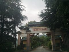 -地心探险极地