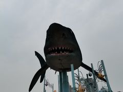 -海合安武汉极地海洋公园