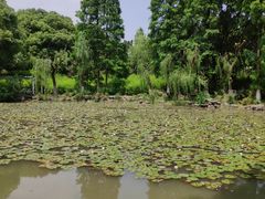 -范蠡湖公园