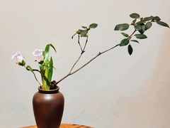 -九华山聚龙大酒店