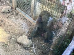 -黔灵山公园