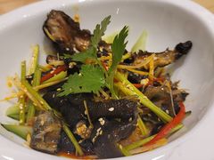 -郑猛记石岐鸽主题餐厅(长江店)