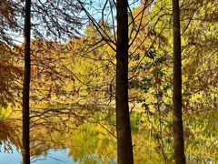 -上海海湾国家森林公园