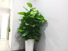 -怡心阁·水疗SPA会馆(王府井店)