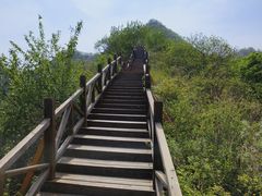-大岭沟猕猴桃谷风景区