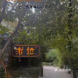 杭州探店|西湖龙井茶园旁的私房菜餐厅