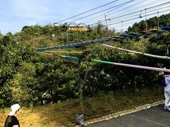 -吉姆冒险世界(蓟州店)