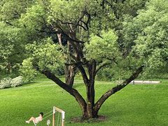 -云溪植物园