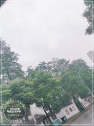 -YESIDO椰岛造型烫发染发