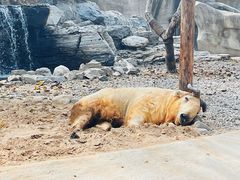 -北京野生动物园