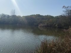 -盘龙城国家考古遗址公园