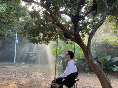 -玫瑰小镇