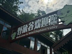 -野象谷景区