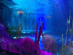 -沈阳海洋探索中心