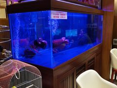 -老江南春·中国龙菜(衡山路店)