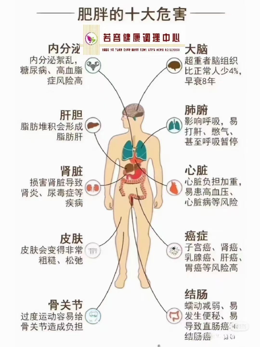 内脏脂肪对身体的危害 肥胖是一种不痛不痒的病