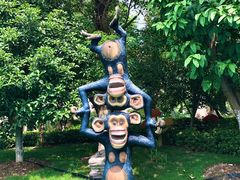 -苏州乐园森林水世界