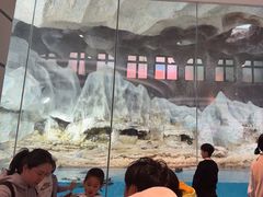 -帝企鹅自助餐厅•儿童岛•真企鹅(长隆企鹅酒店)