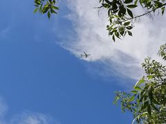 -官港森林公园