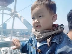 -琴岛之星摩天轮